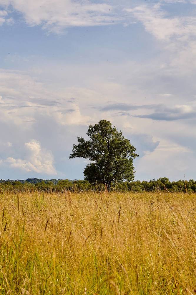 Photograph by Николай Голованов
