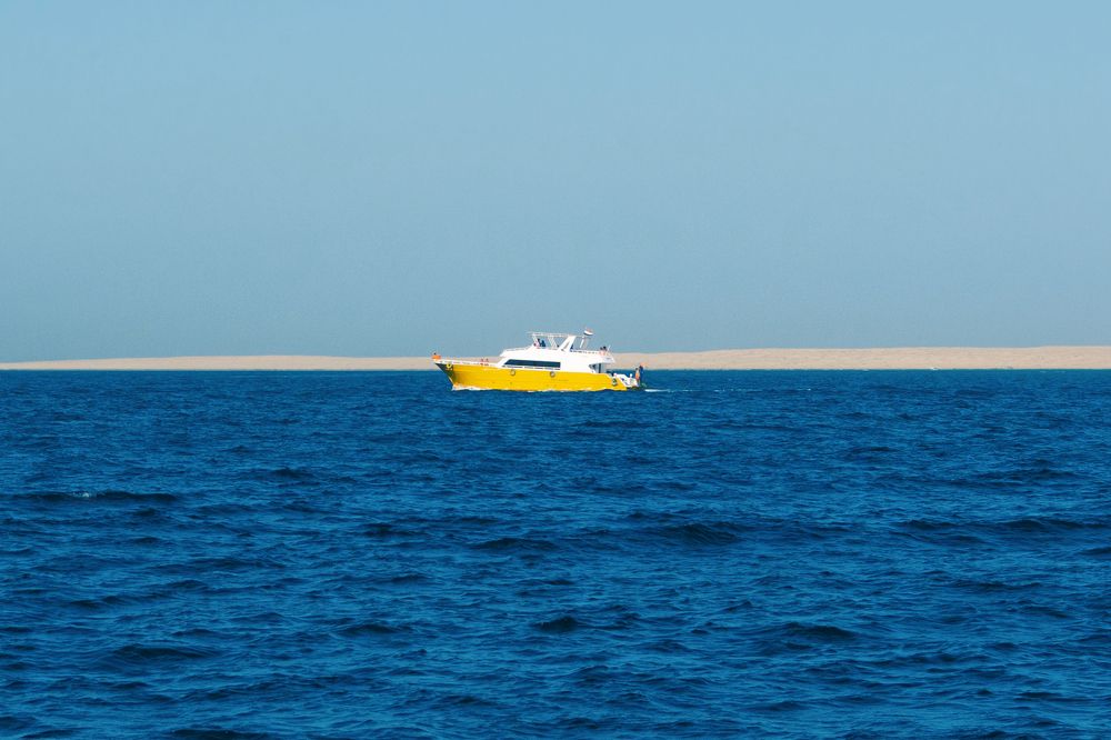 Фотография автора Алена