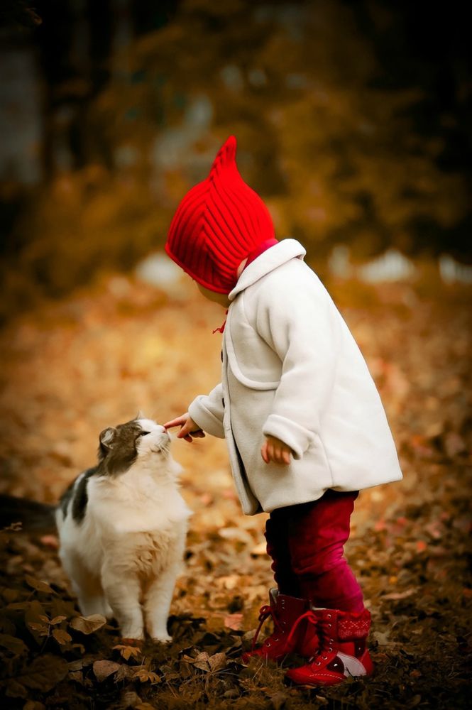 Photograph by Арина Прокшина