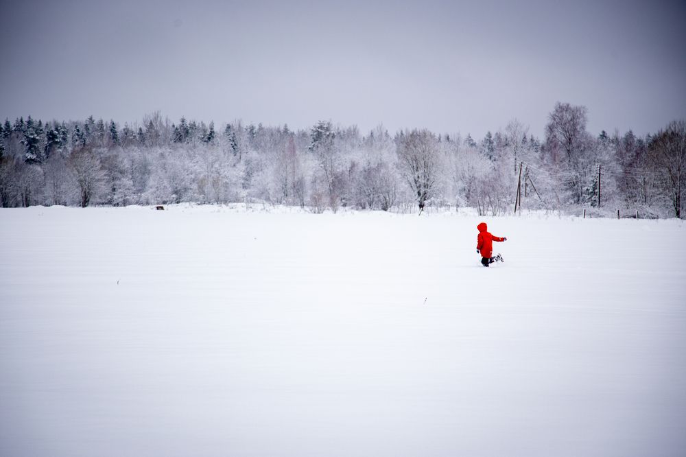 Фотография автора Станислава Гордеева