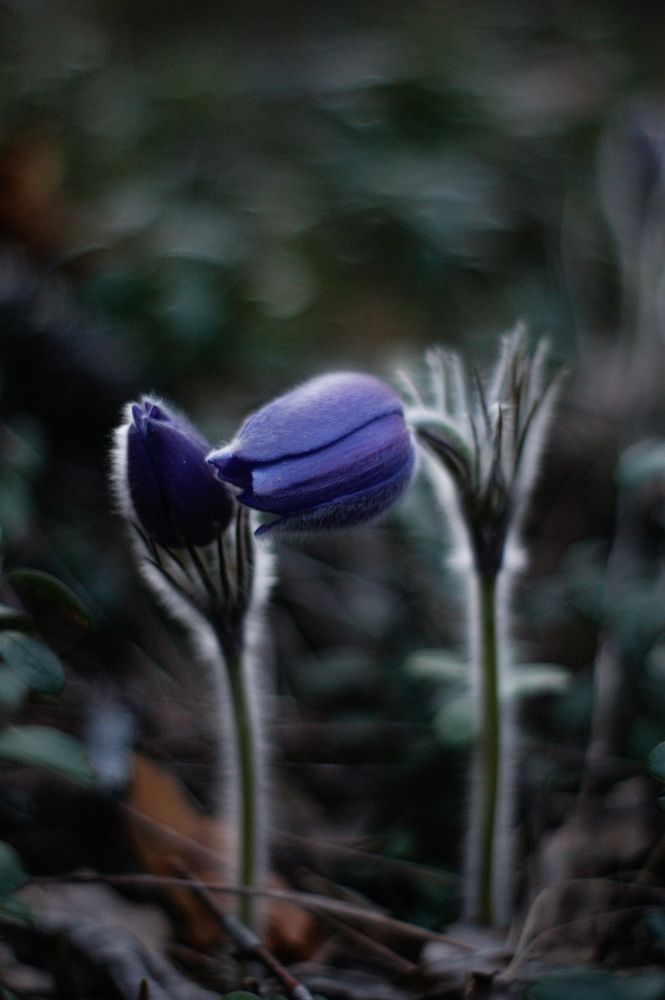 Photograph by Карина Заводчикова