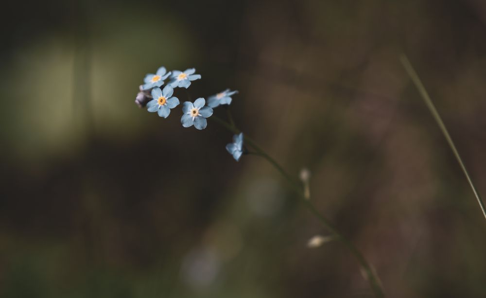 Фотография автора Войнов Дмитрий