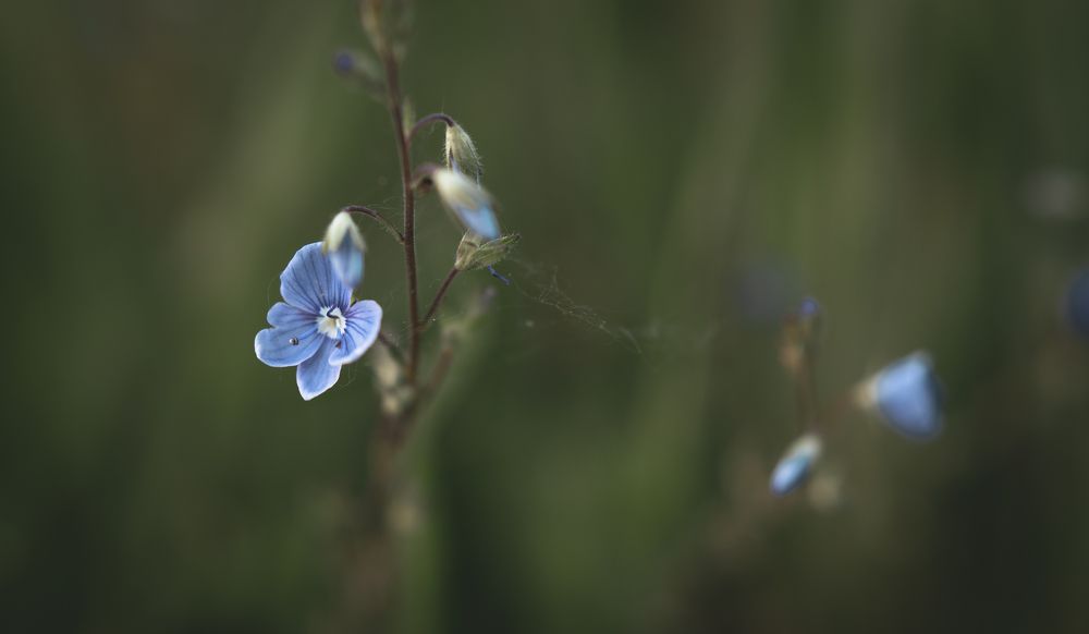 Фотография автора Войнов Дмитрий