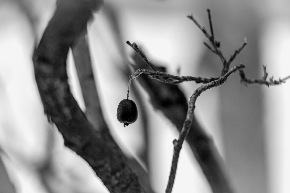 Photograph by Елена Барышева