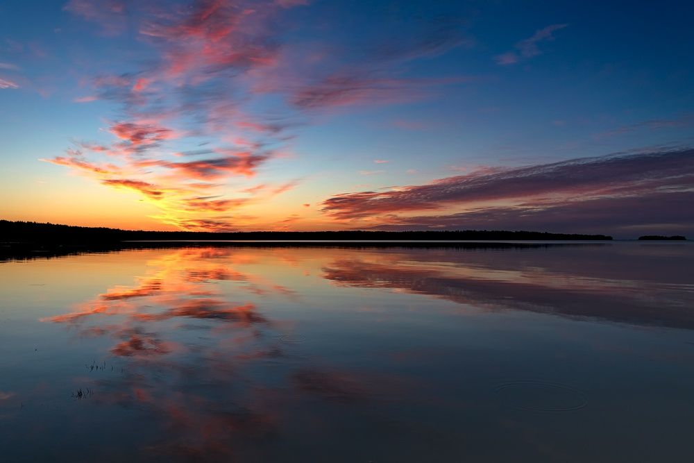 Photograph by Елена Амозова