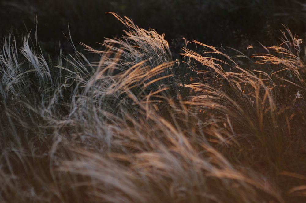 Photograph by Дерезюк Юрий Александрович