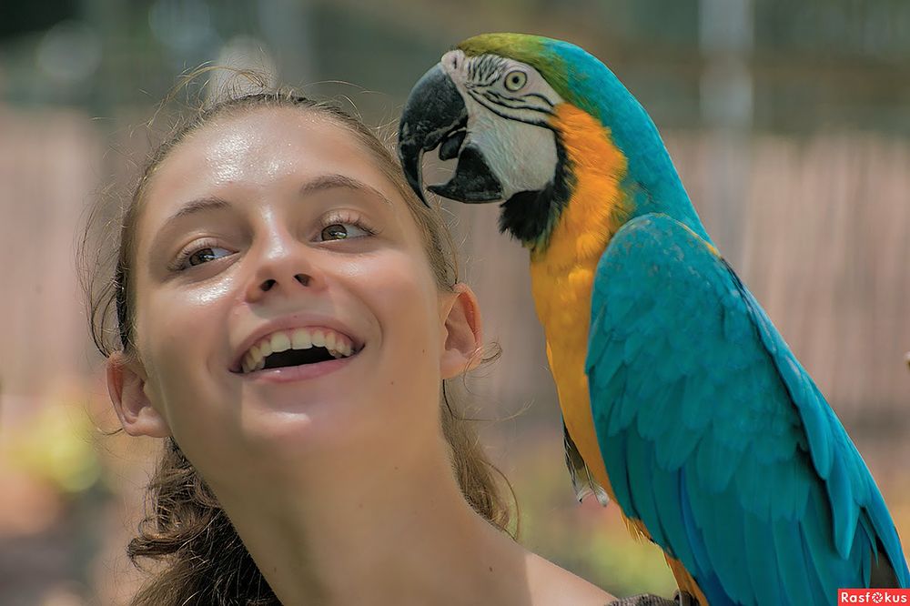 Photograph by Владислав Айзенберг