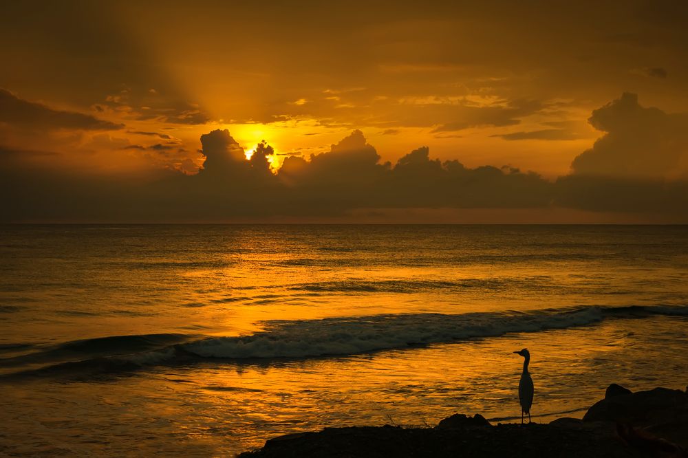 Photograph by Ольга Мусиенко