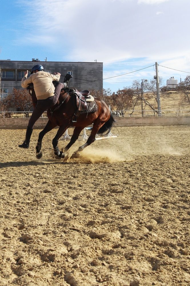 Photograph by Amir Hosein Shokrabadi