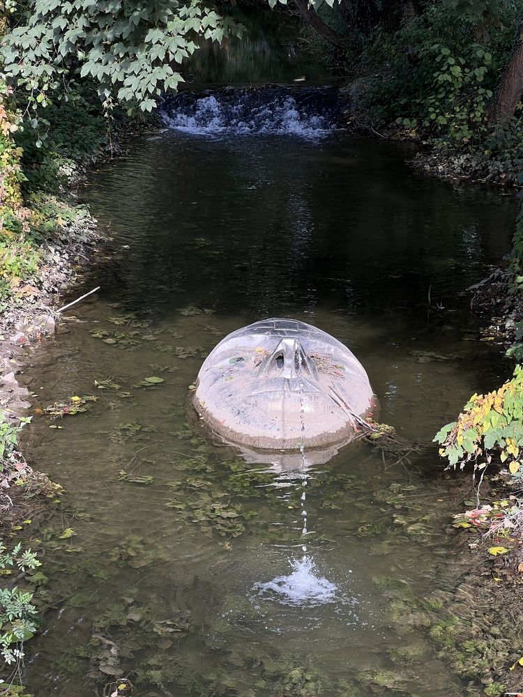 Photograph by Eugenia Schmidt