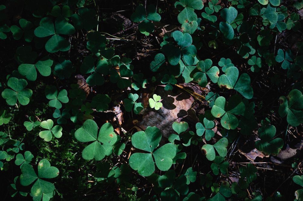 Photograph by Александр Ходакин