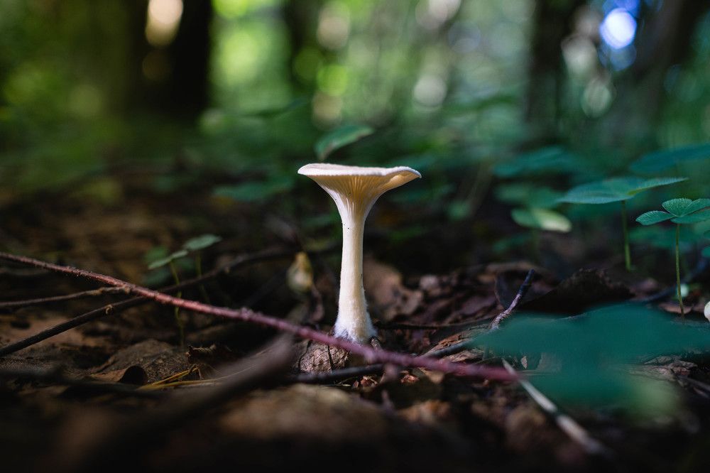 Photograph by Александр Ходакин