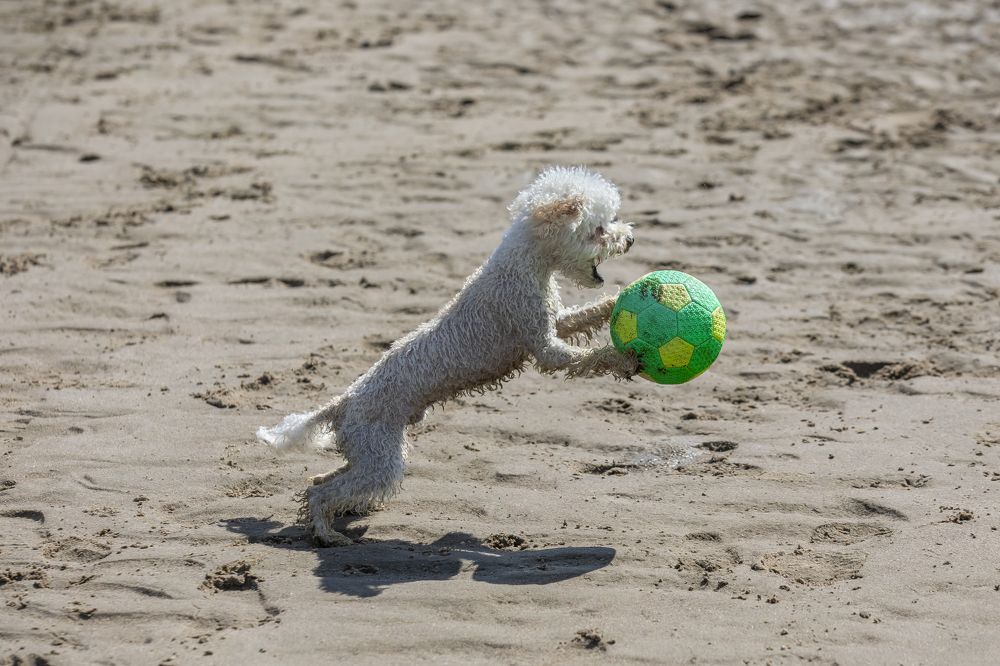 Фотография автора Евгений Печенин