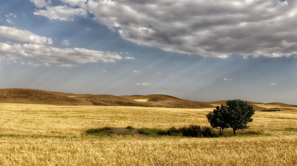 Photograph by Amir Hosein Shokrabadi