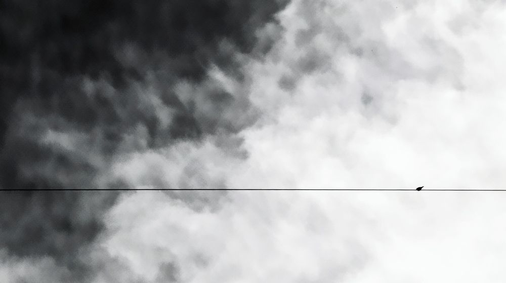 Photograph by Amir Hosein Shokrabadi