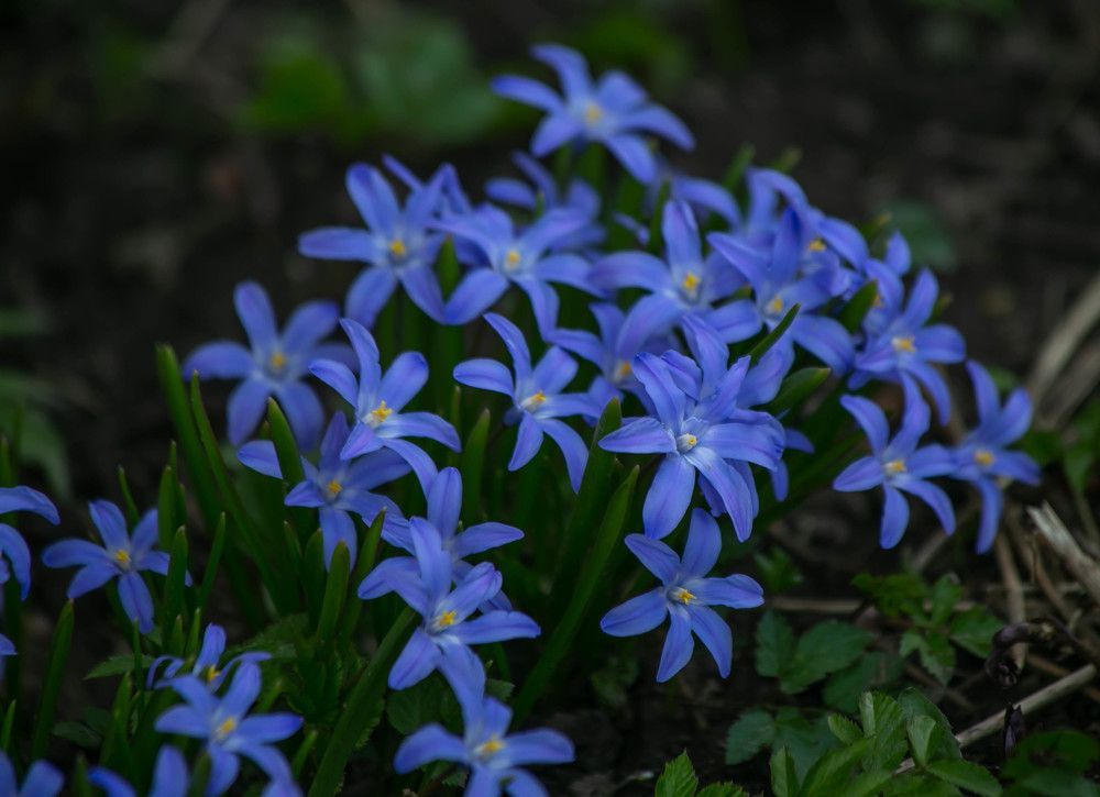 Photograph by Ольга Сафронова