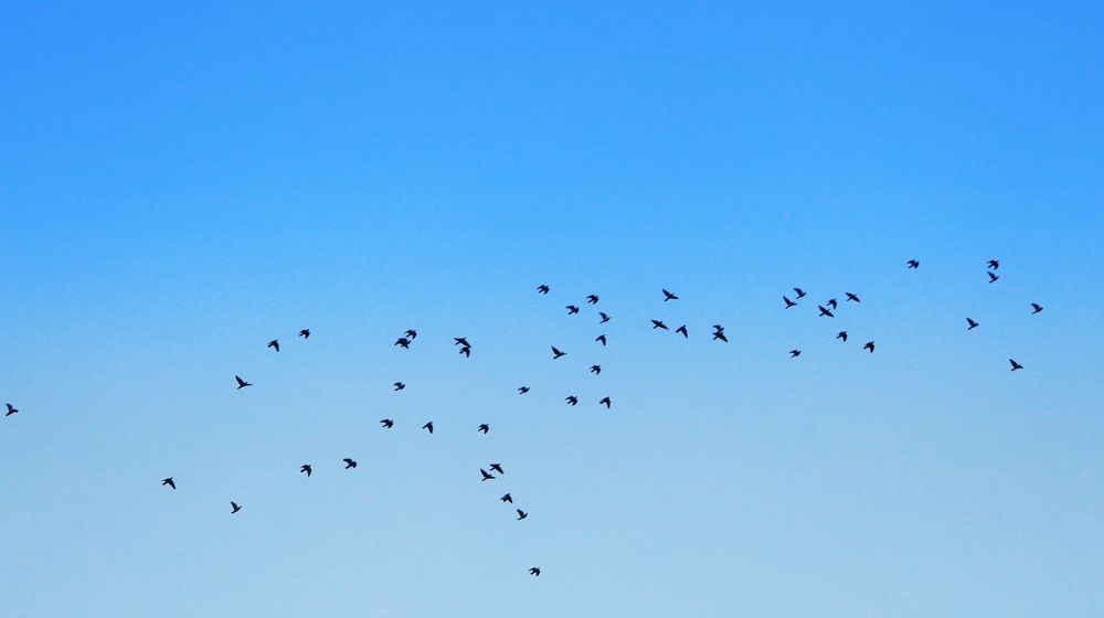 Photograph by Amir Hosein Shokrabadi