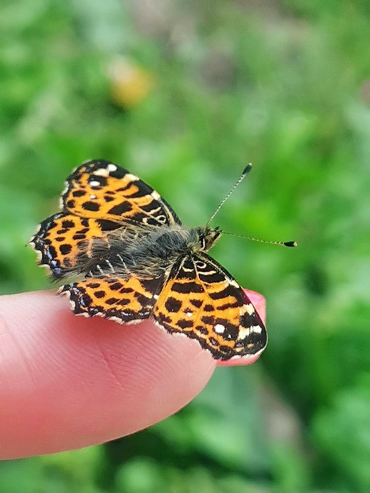 Photograph by НаталиЯ Кolosova