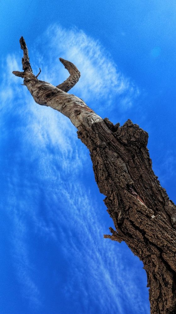 Photograph by Amir Hosein Shokrabadi