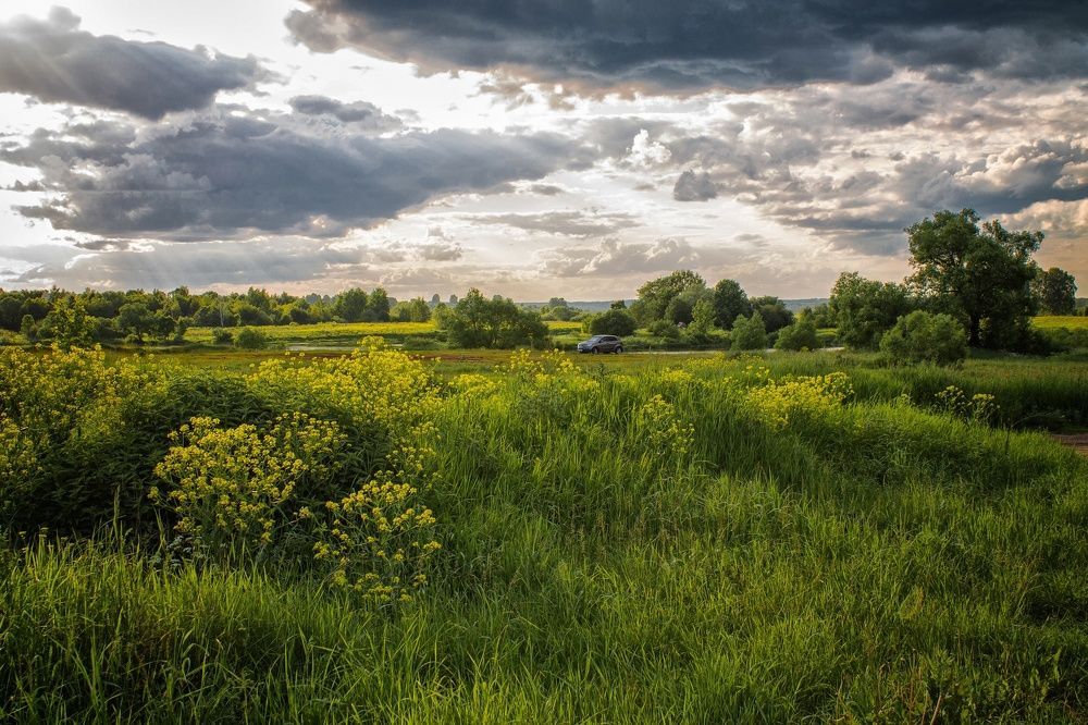 Photograph by Fedorov Denis