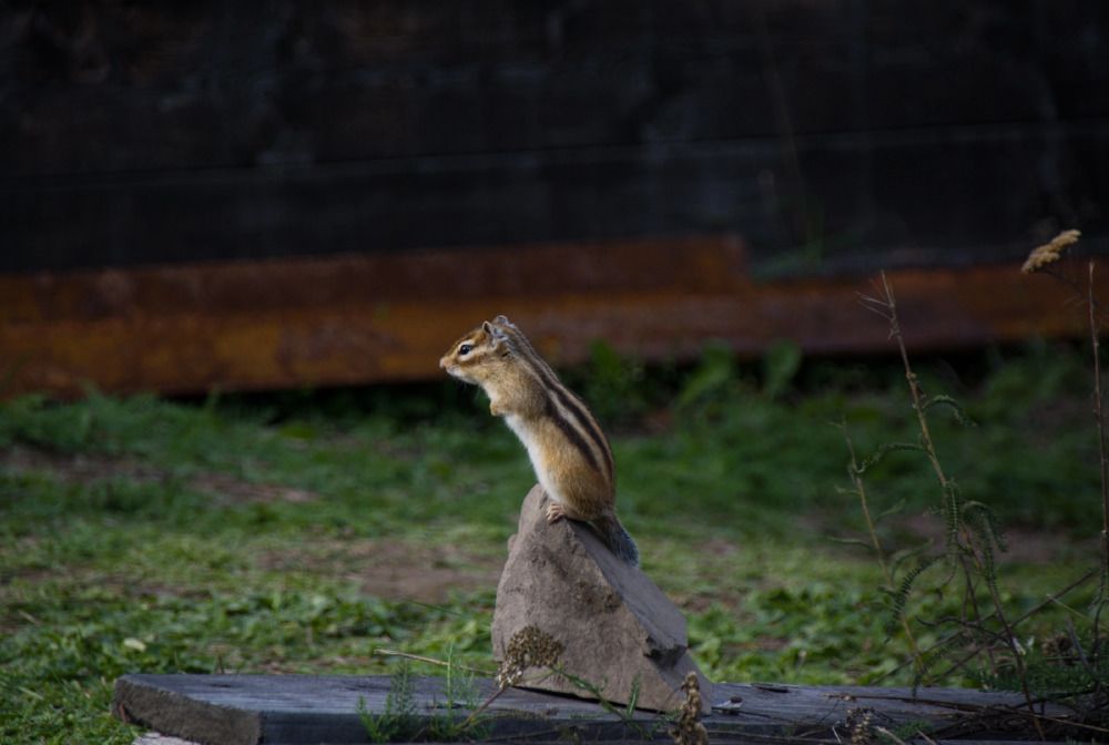 Photograph by Елена Ласун