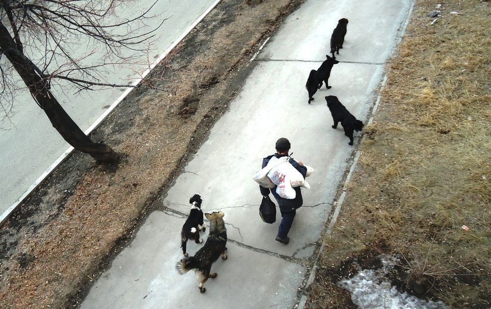 Photograph by Сергей Хвостовец