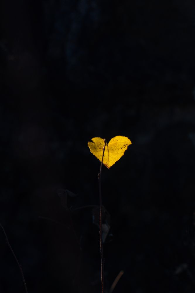 Photograph by Anna Turks