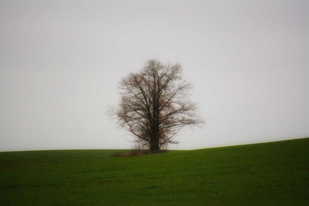 Photograph by Сергей Симаков