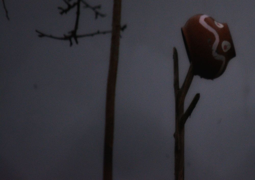 Photograph by Сергей Симаков