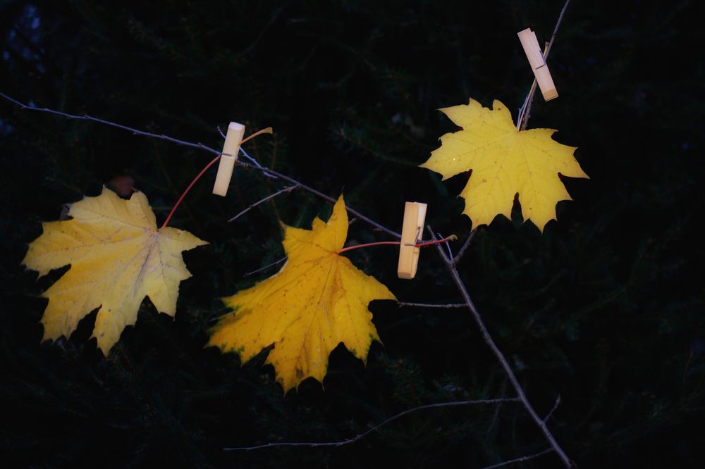 Photograph by Сергей Симаков