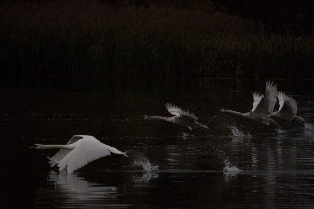 Photograph by Сергей Симаков