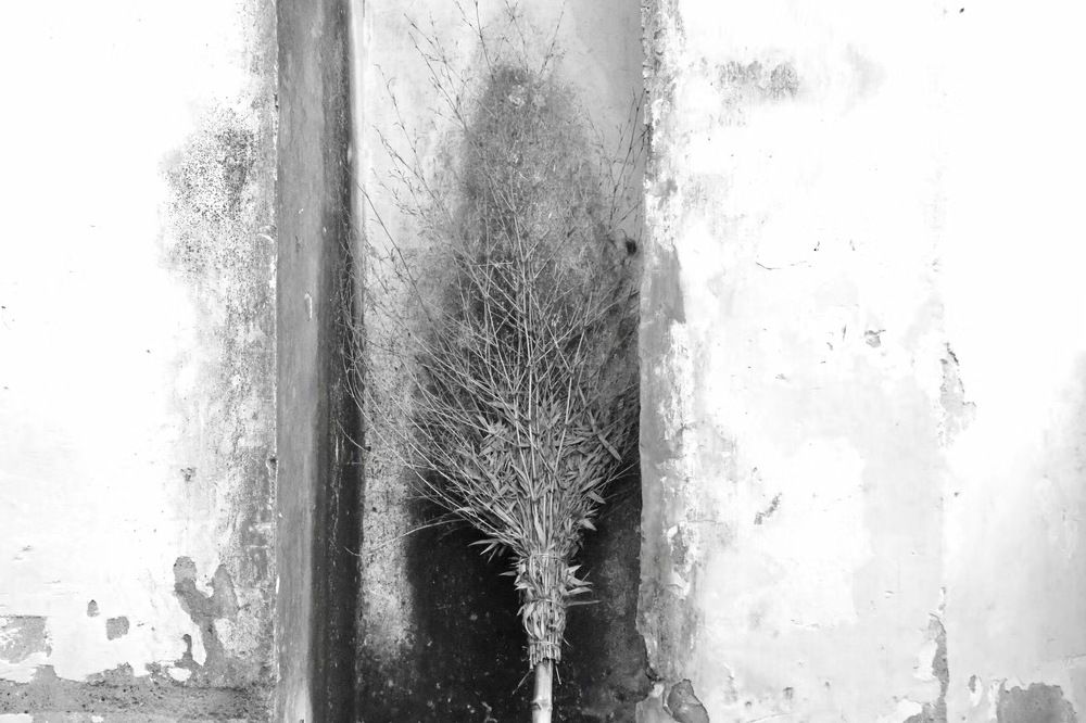 Photograph by Anna Turks