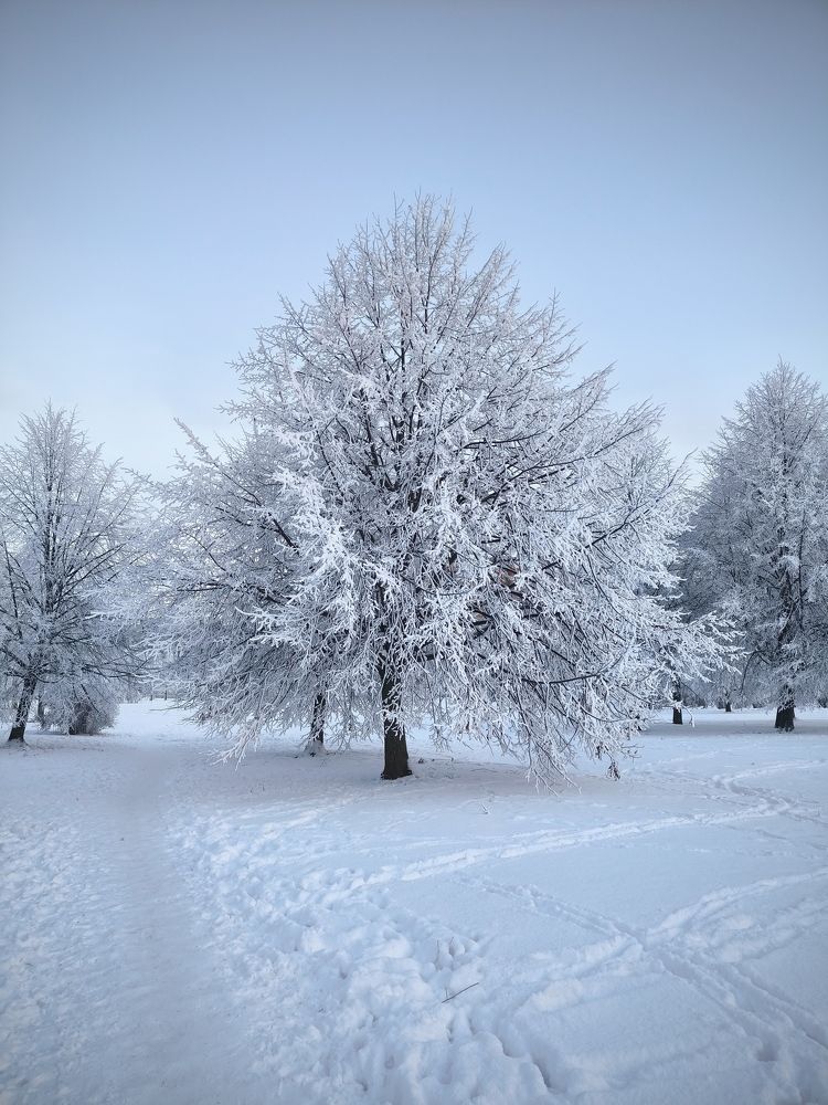 Фотография автора Ekaterina Sapezhinskaya