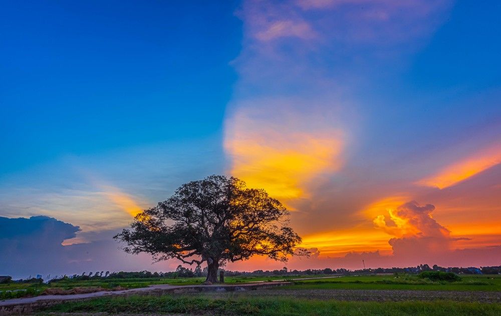 Photograph by Duc Nguyen