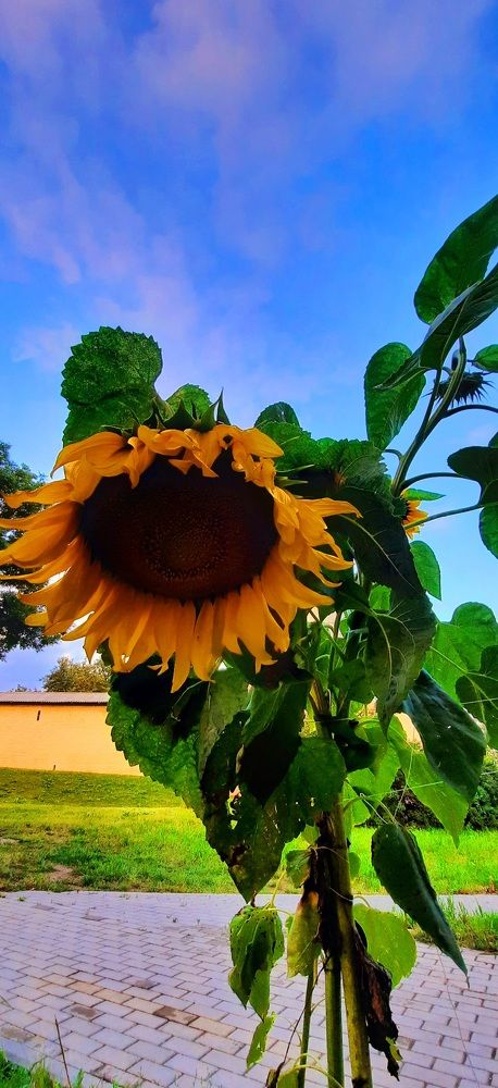 Photograph by Марина Игнатьева