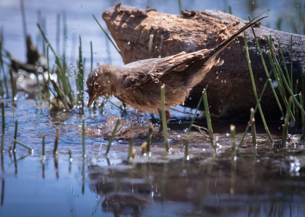 Photograph by Тамара Вотинцева