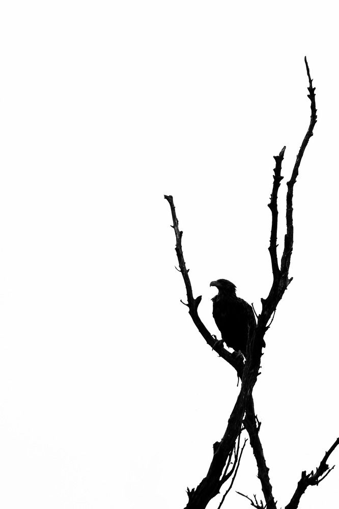 Photograph by Наталья Лабодина