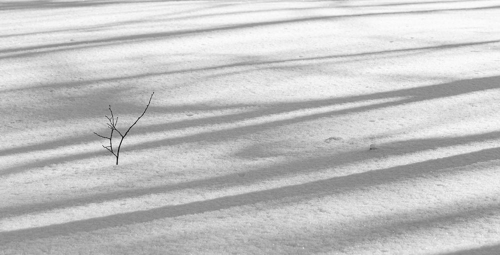 В ожидании весны