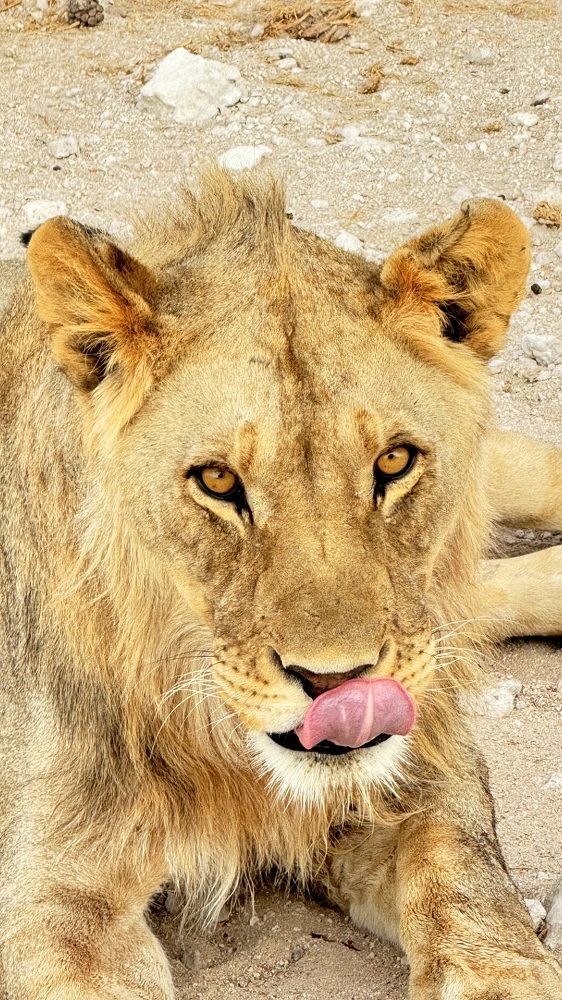 Photograph by Natalia