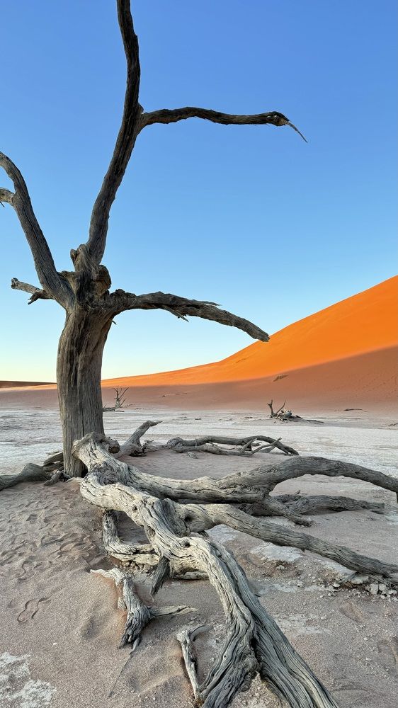 Photograph by Natalia