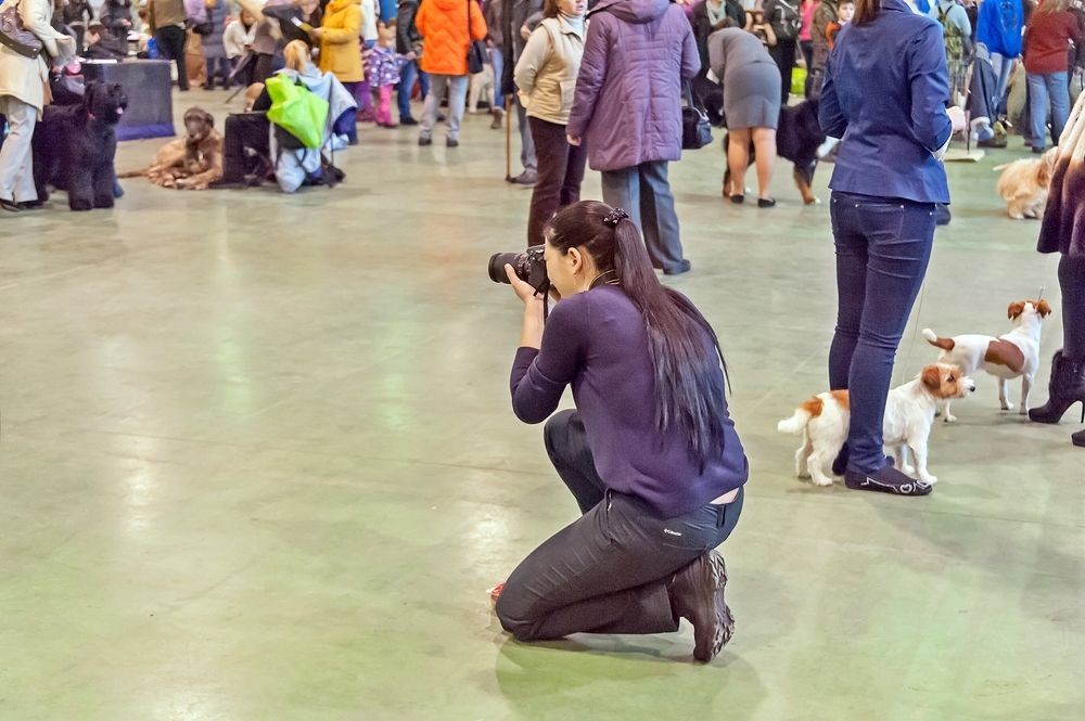 Photograph by Валерий Клейменов