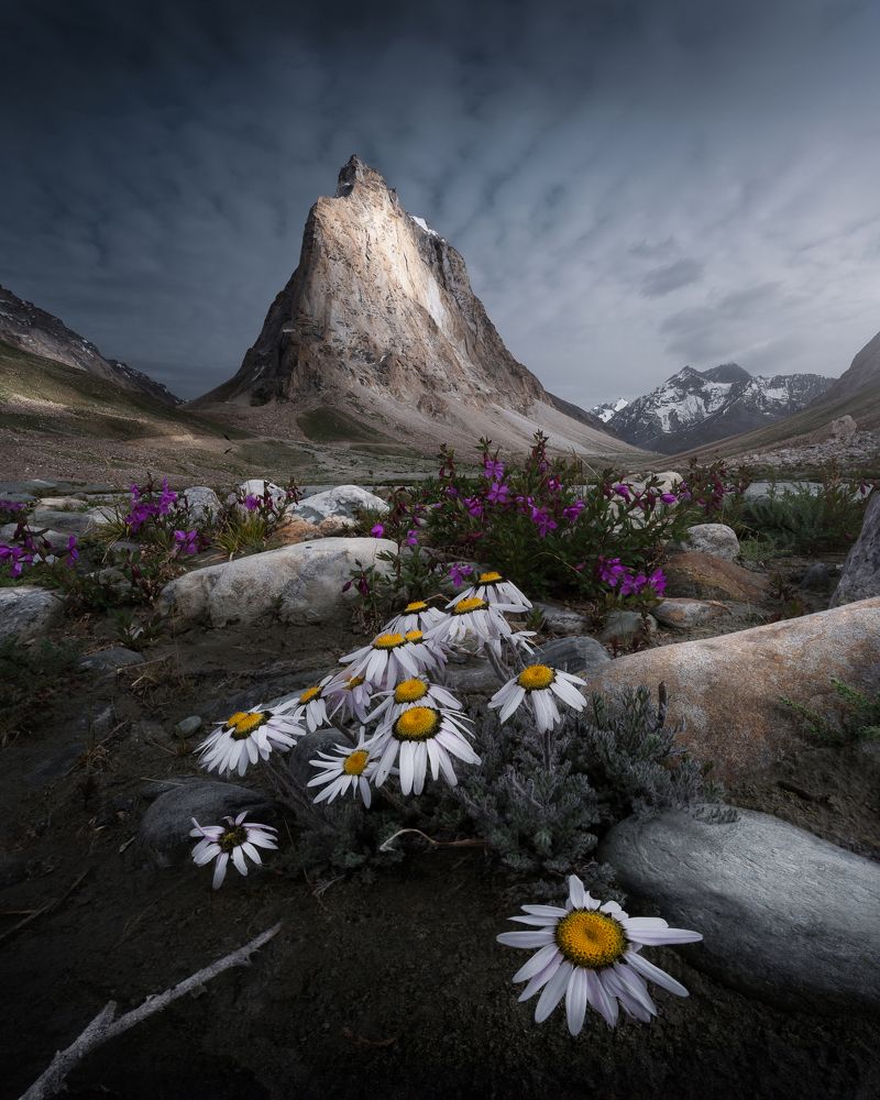 Photograph by Ranit Dholey