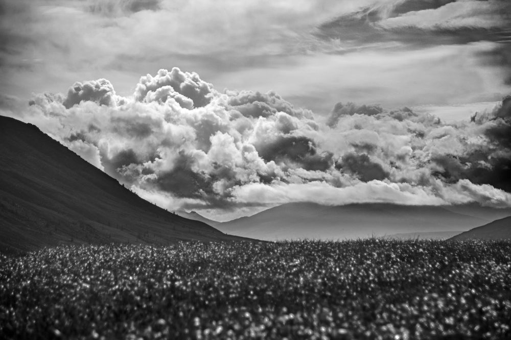 Все оттенки серого в пейзажах Полярного Урала