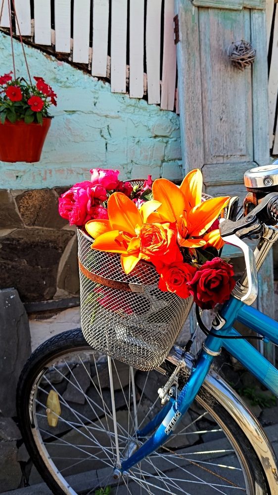 Фотография автора Светлана Анатольевна Чернышова