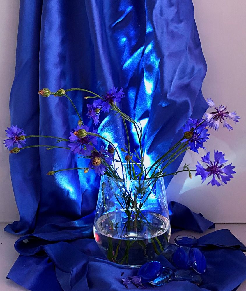 Photograph by Галина Пименова