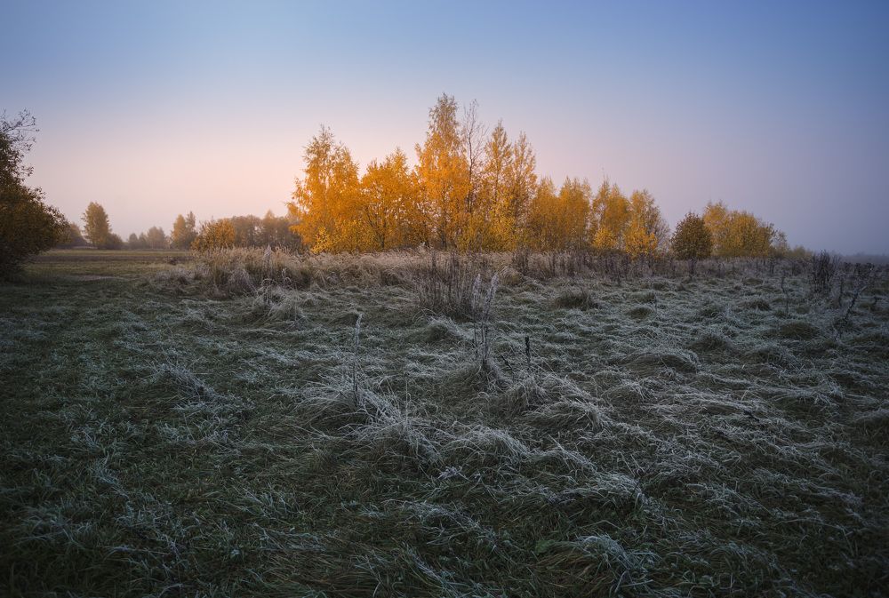 Photograph by Зеленько Дмитрий