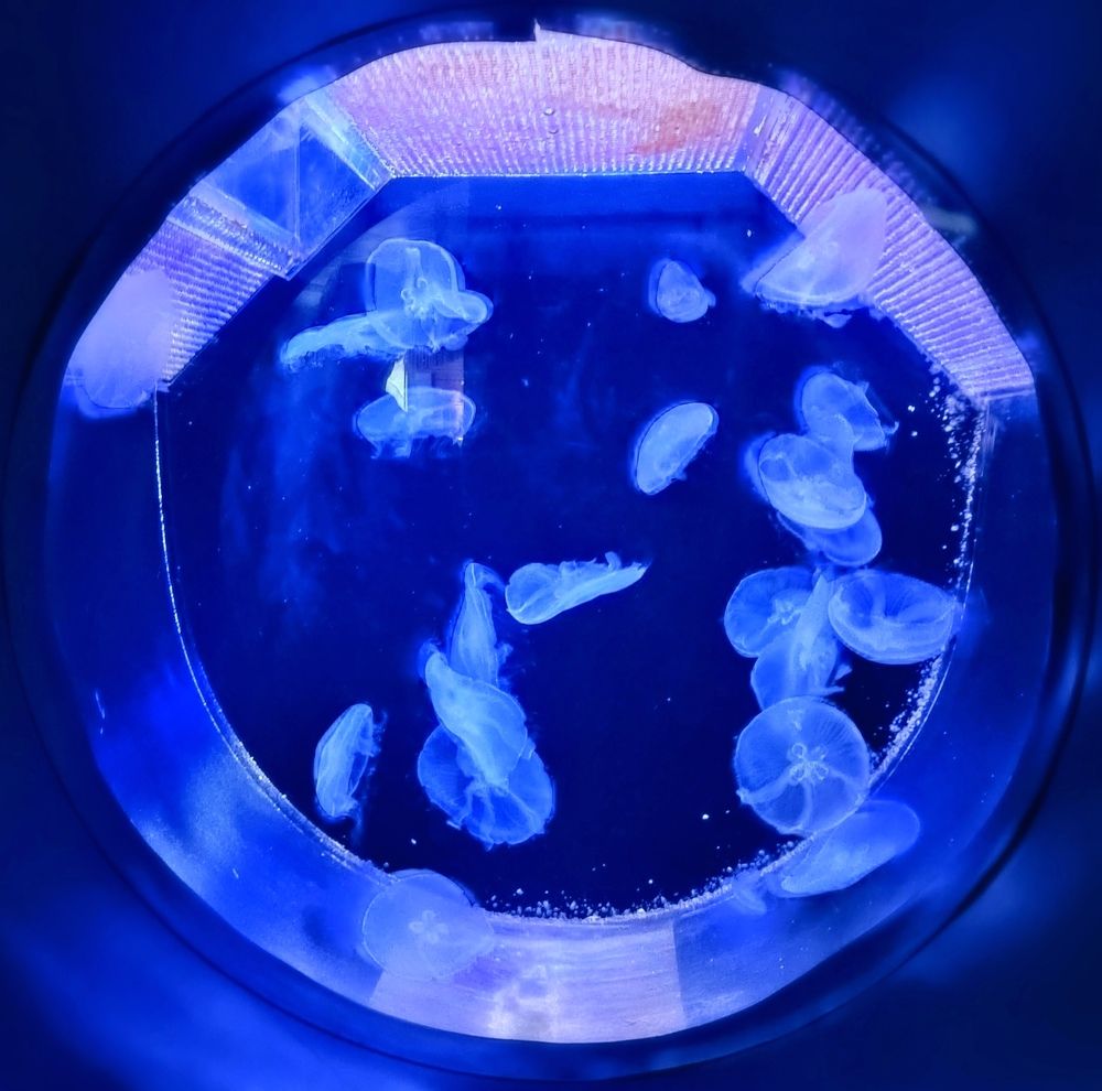 Photograph by Елизавета Завзина