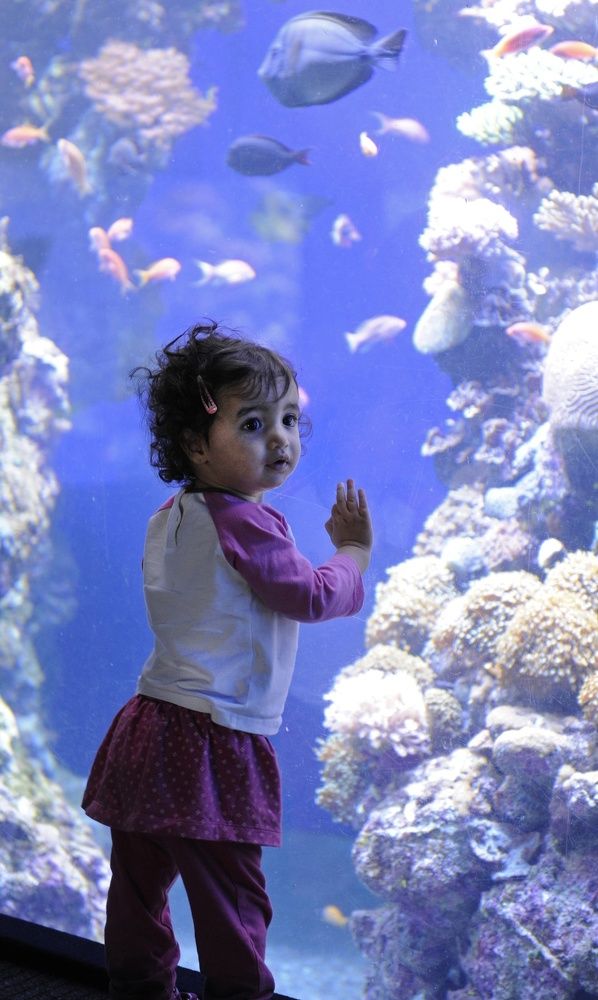 Photograph by Oleg Kogut