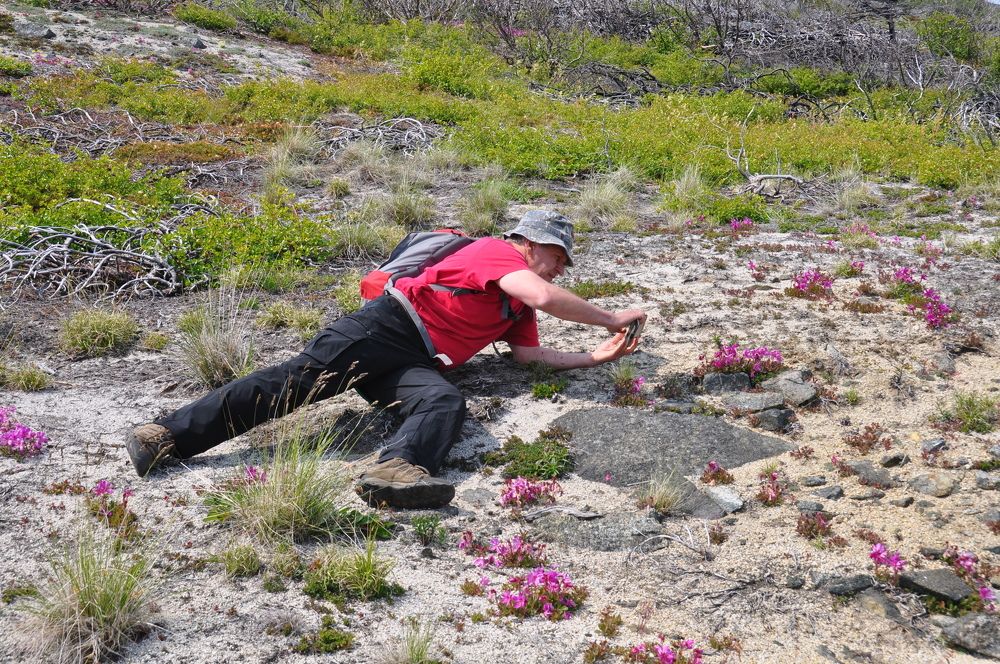 Photograph by Евгений Захаров