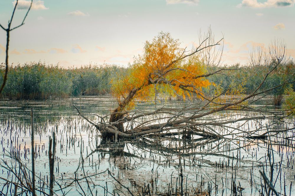 Фотография автора Вадим Коваленко